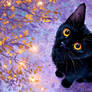 Shadows bloom beneath the stars