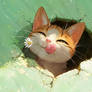 Playful grace in petals