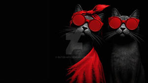 Scarlet whispers on black velvet