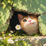Among daisies, curiosity blooms