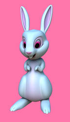 Bunny Model