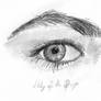 study of the left eye