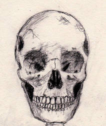 Skull Observation