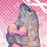 Seal Love!!