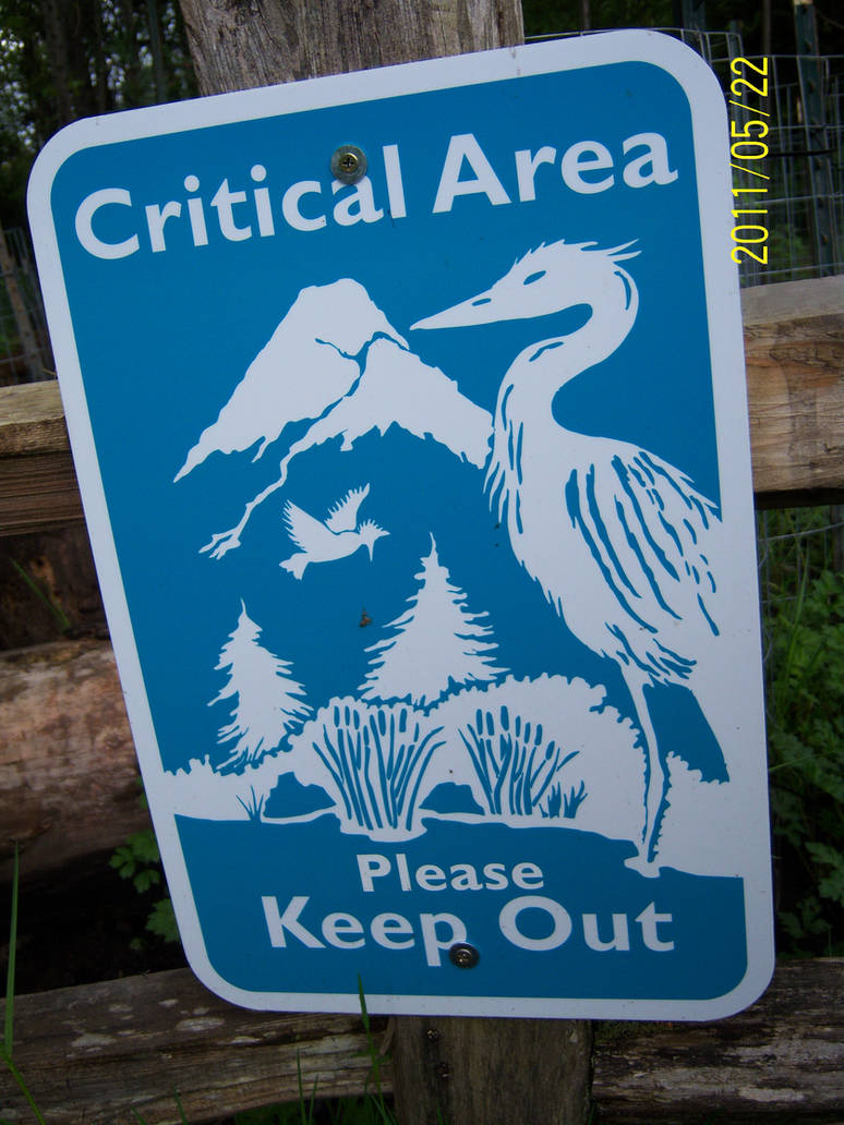 Criticality Sign Critical Sign by SurroundedByTrees on DeviantArt