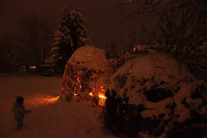 Winter and the fairy houses