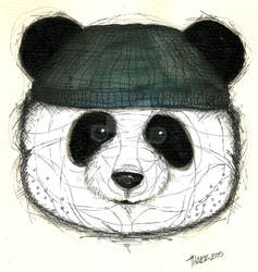 Panda with beanie