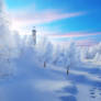 Cold Winter Morning