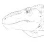 Tarbosaurus bataar head sketch