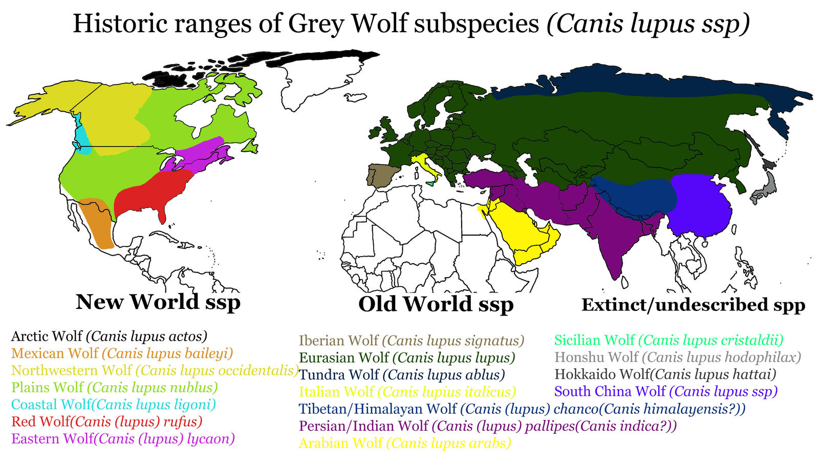 Historic ranges of Grey Wolf subspecies by zoobuilder21 on DeviantArt