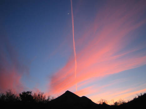 Arizona Sunset