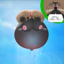 Airborne August 2025