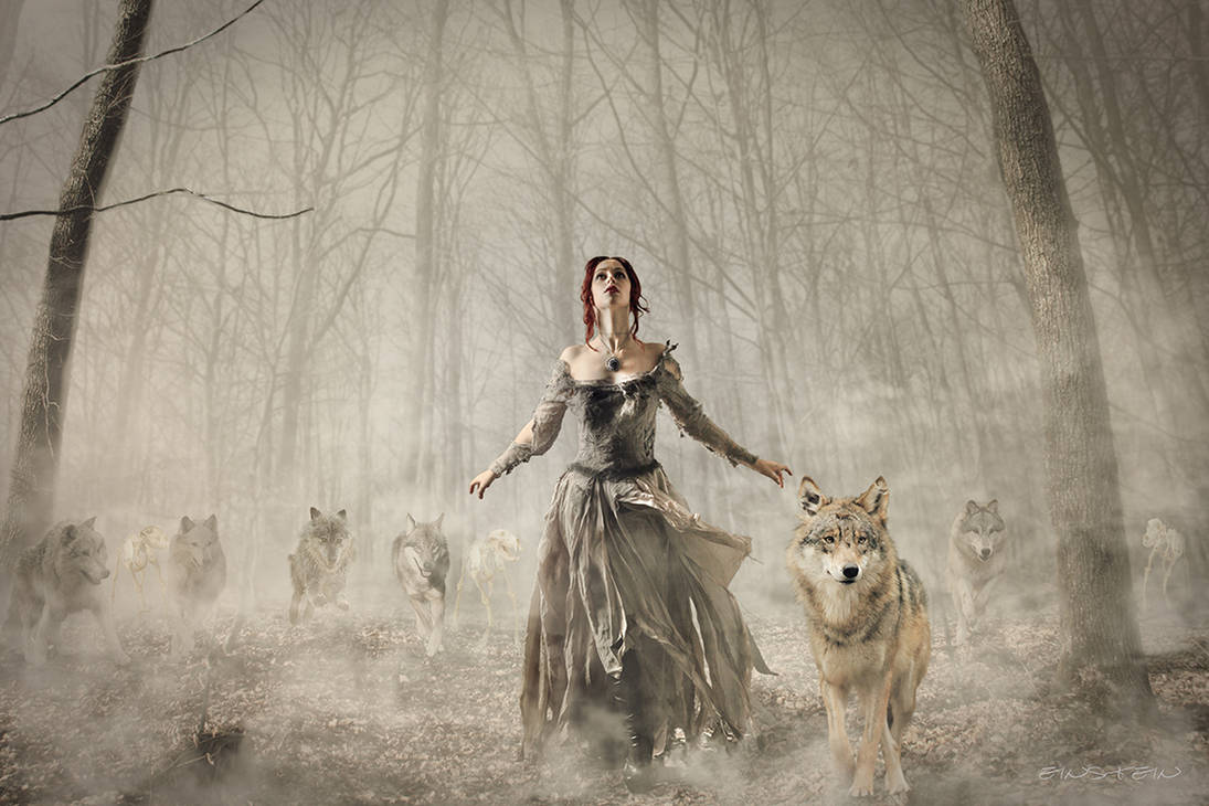 She-Wolf - leader of the pack by einstein64k on DeviantArt