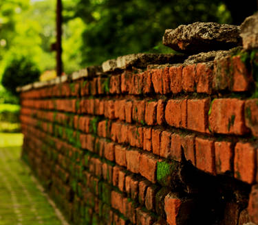 a brickwork orange