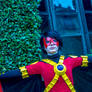 Tim Drake- Red Robin (New 52)