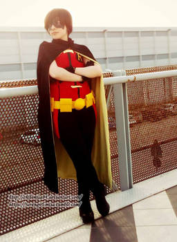 Young Justice- Robin