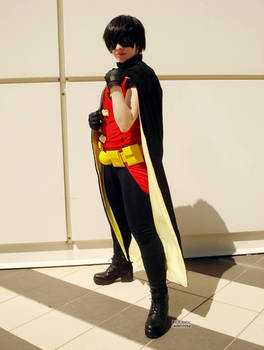 Young Justice- Robin