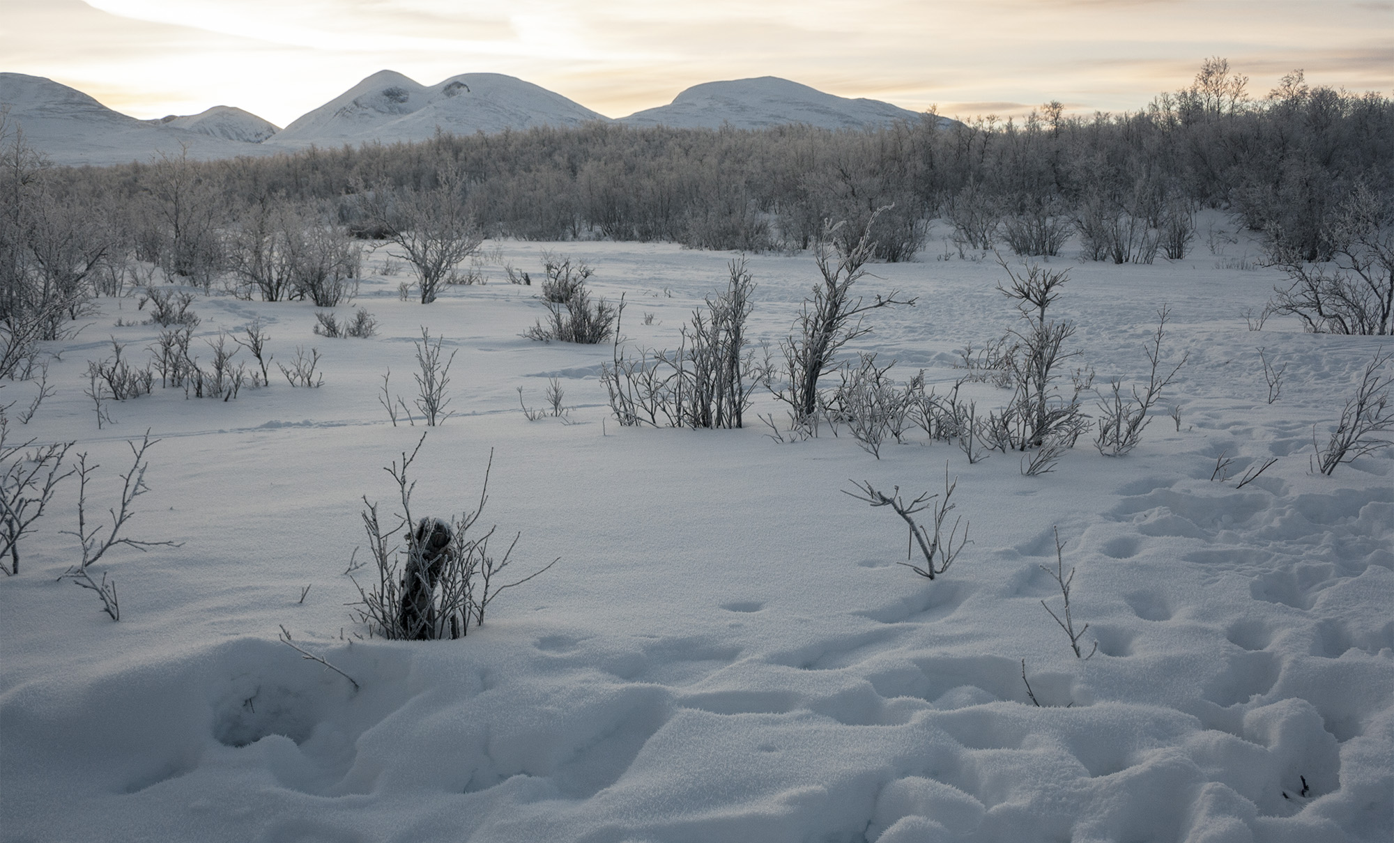 Lapland