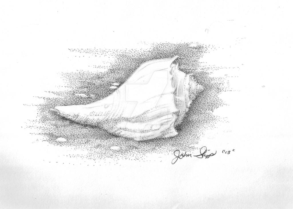 Conchshell by dragonslayer6187 on DeviantArt