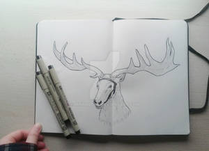 Thranduil's elk