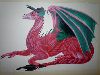 dragon anatomy 2
