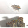 Azure Beetle D4615