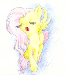 Fluttershy's Song