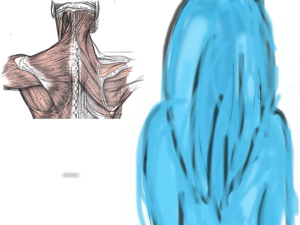 Subhuman Back Human Anatomy - Back by blondiee0519 on DeviantArt
