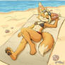 Sunbathing