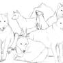 Wolf pack line art: usable