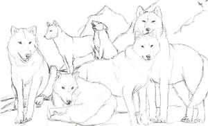 Wolf pack line art: usable