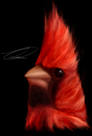 Cardinal