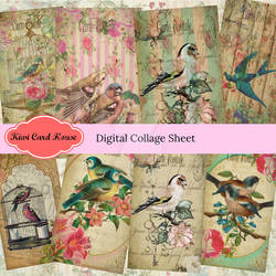 Shabby Chic Vintage Birds Collage Sheet