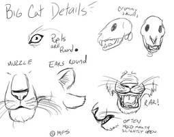 Cat Tutorial: Big Cat Details