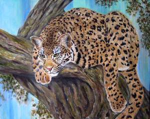 Leopard