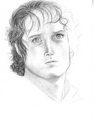 Frodo WIP