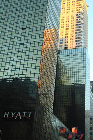 Hyatt by wingsofdragons