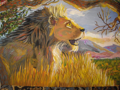 The lion 2009