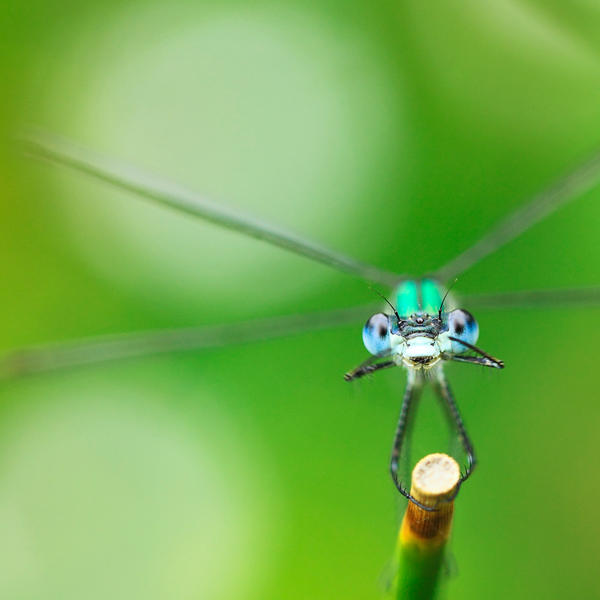 cleaning my big eyes