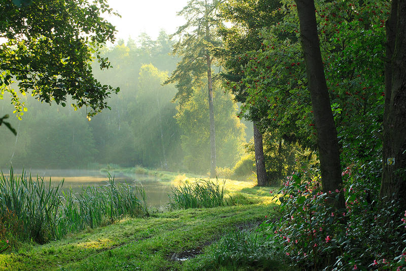 at the ponds