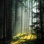 entrance III by indojo