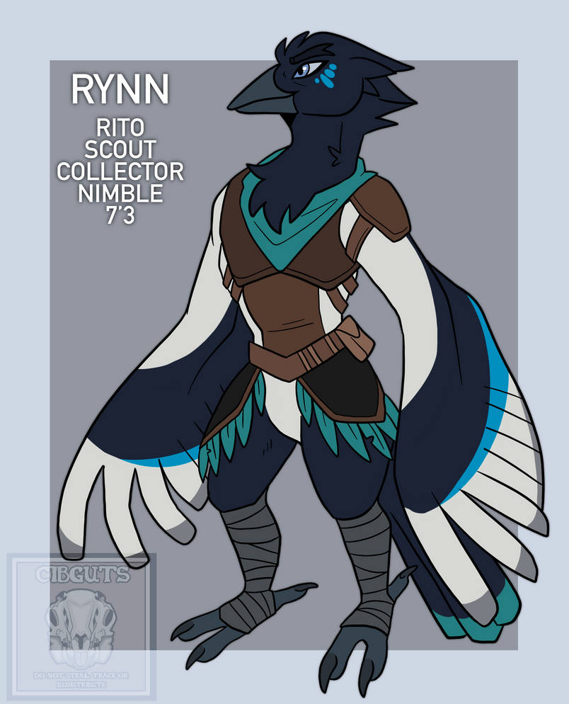 Rynn Reference by CibGuts on DeviantArt