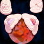 Flandre And Remi Planet domination