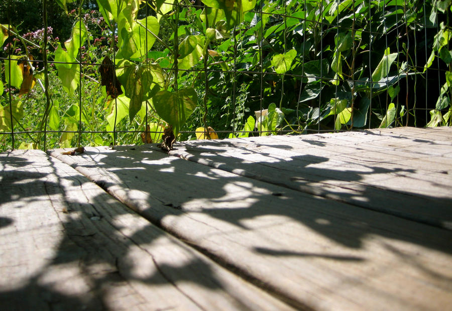 Small House, Large Garden by miss-marry-ann on DeviantArt