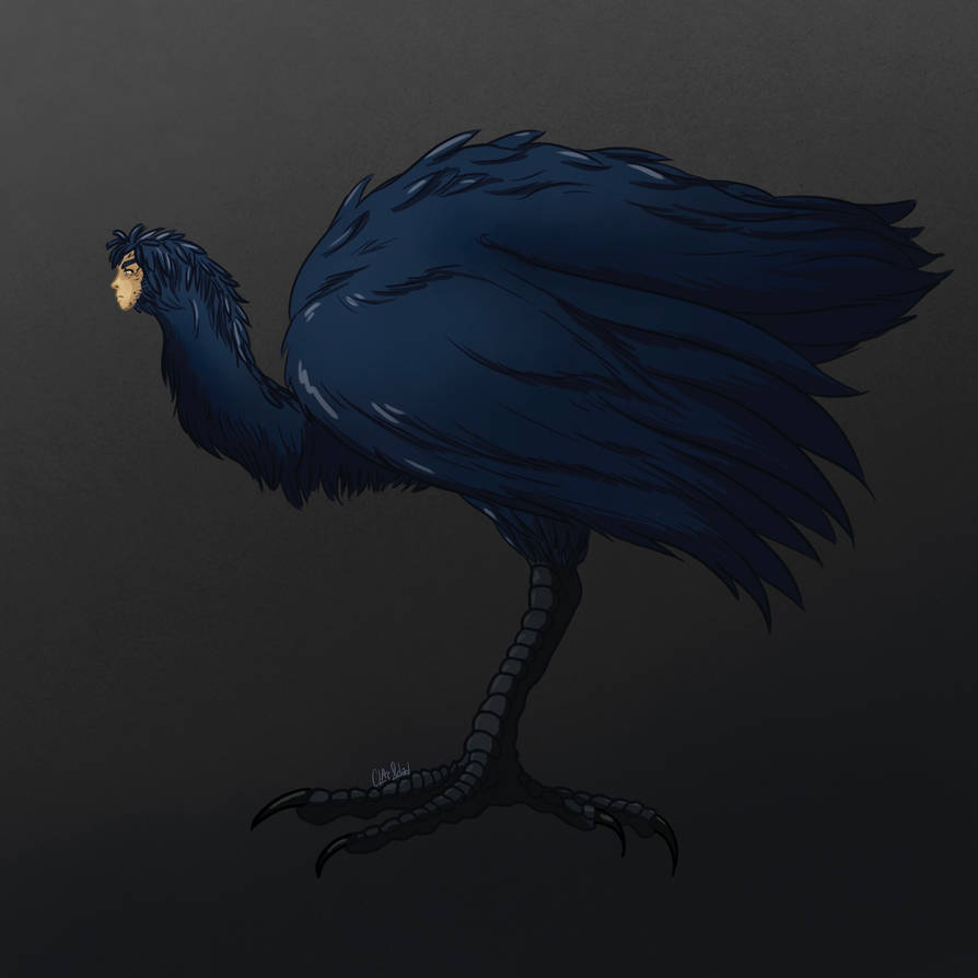 Bird Howl by claridadelpez on DeviantArt