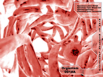 Organism 0018A Revised