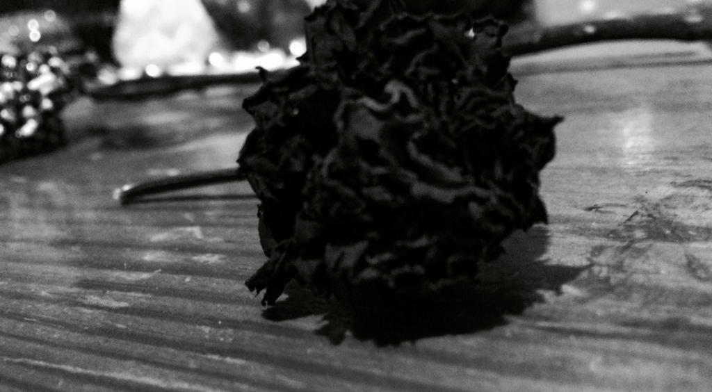 Black rosey by brofistawsomeperson on DeviantArt