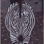 Black Paper Zebra