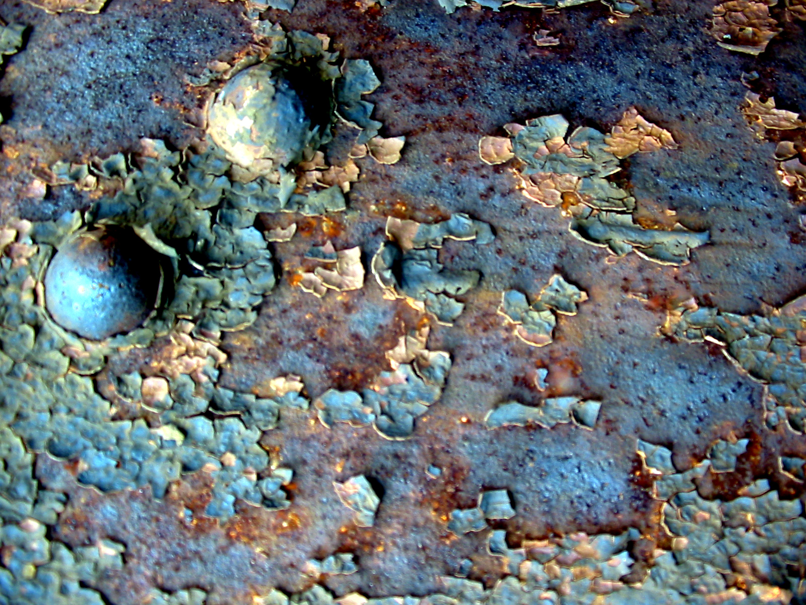 rusty warts