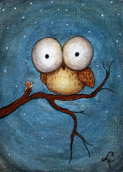 Little Owl and Snail